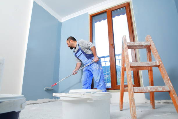 Genoa City, WI Mold Removal Company