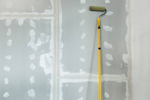 Best Post-Remediation Verification Testing  in Genoa City, WI