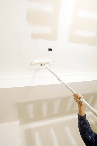 Best Residential Mold Inspection & Testing  in Genoa City, WI