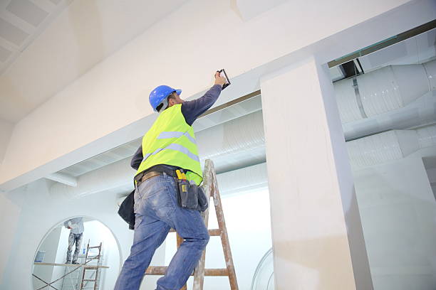 Best Attic Mold Removal  in Genoa City, WI